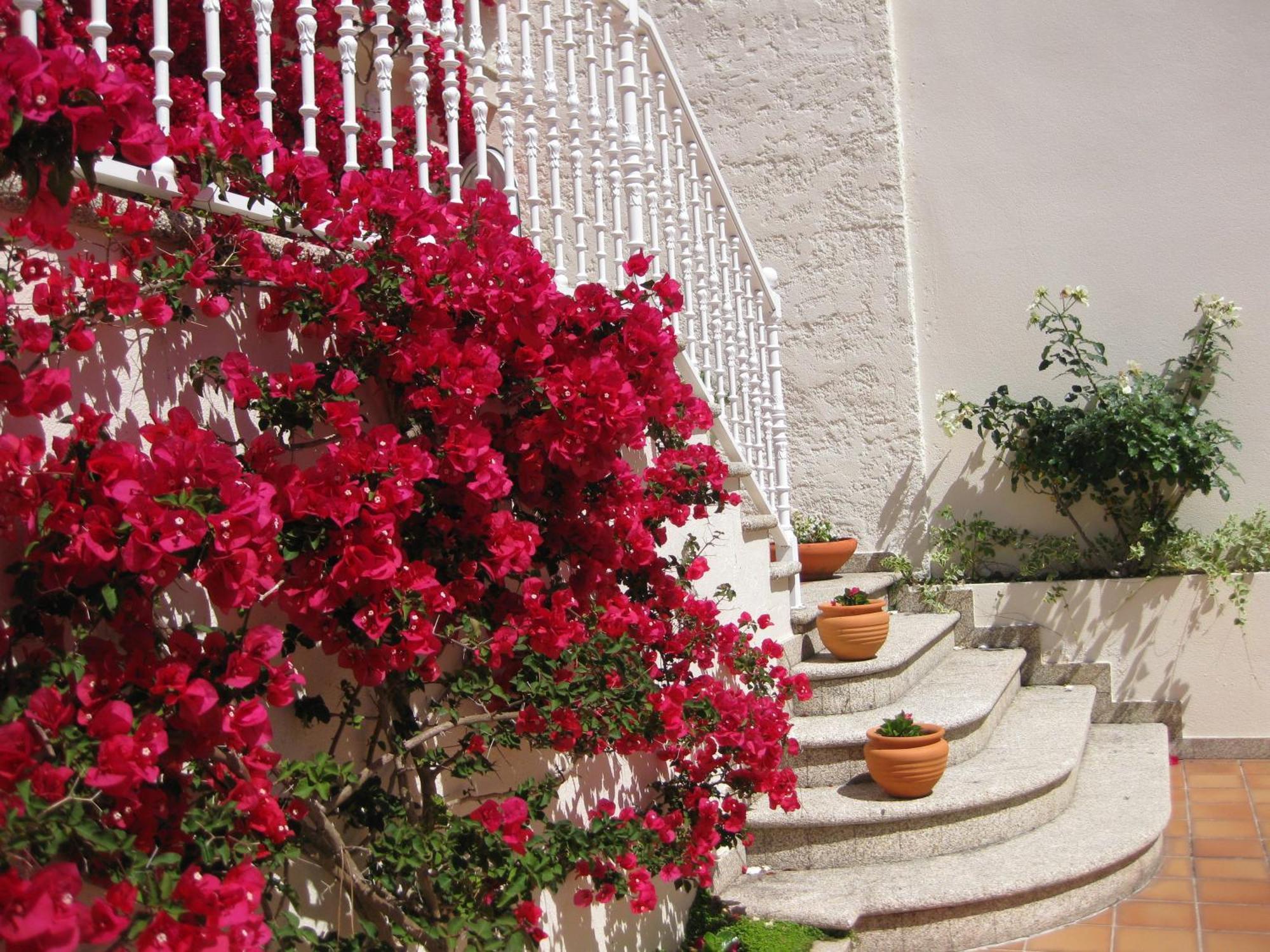 או גרובה Apartamentos Maritimo Suites-Solo Adultos מראה חיצוני תמונה